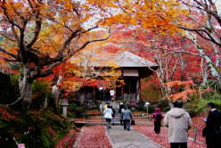 京都の秋　2005　常寂光寺仁王門